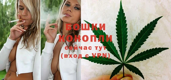 марихуана Новозыбков