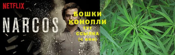кокс Нея