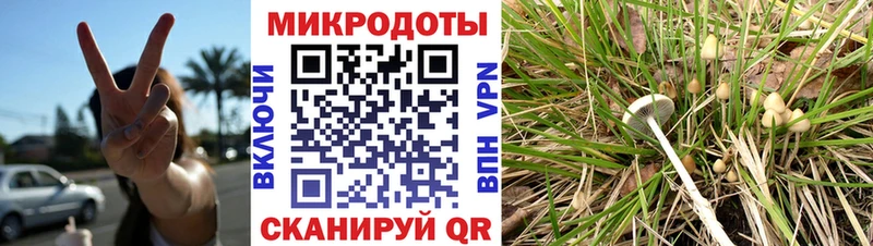 Галлюциногенные грибы Psilocybine cubensis  как найти закладки  Ленинск 